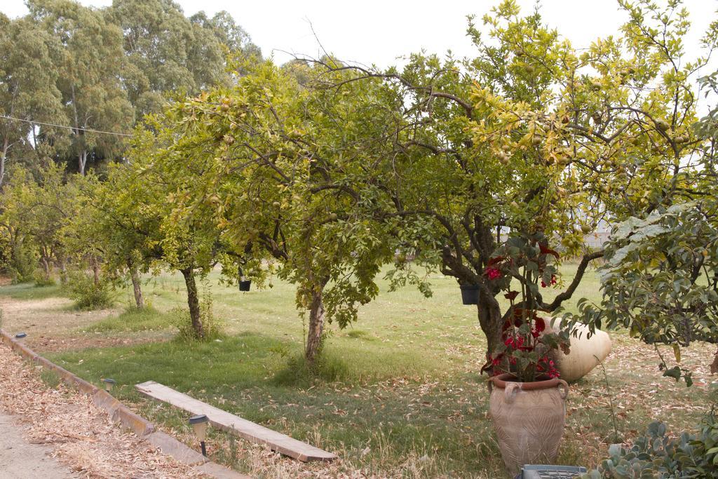 Country&Beach B&B Capoterra Exterior foto